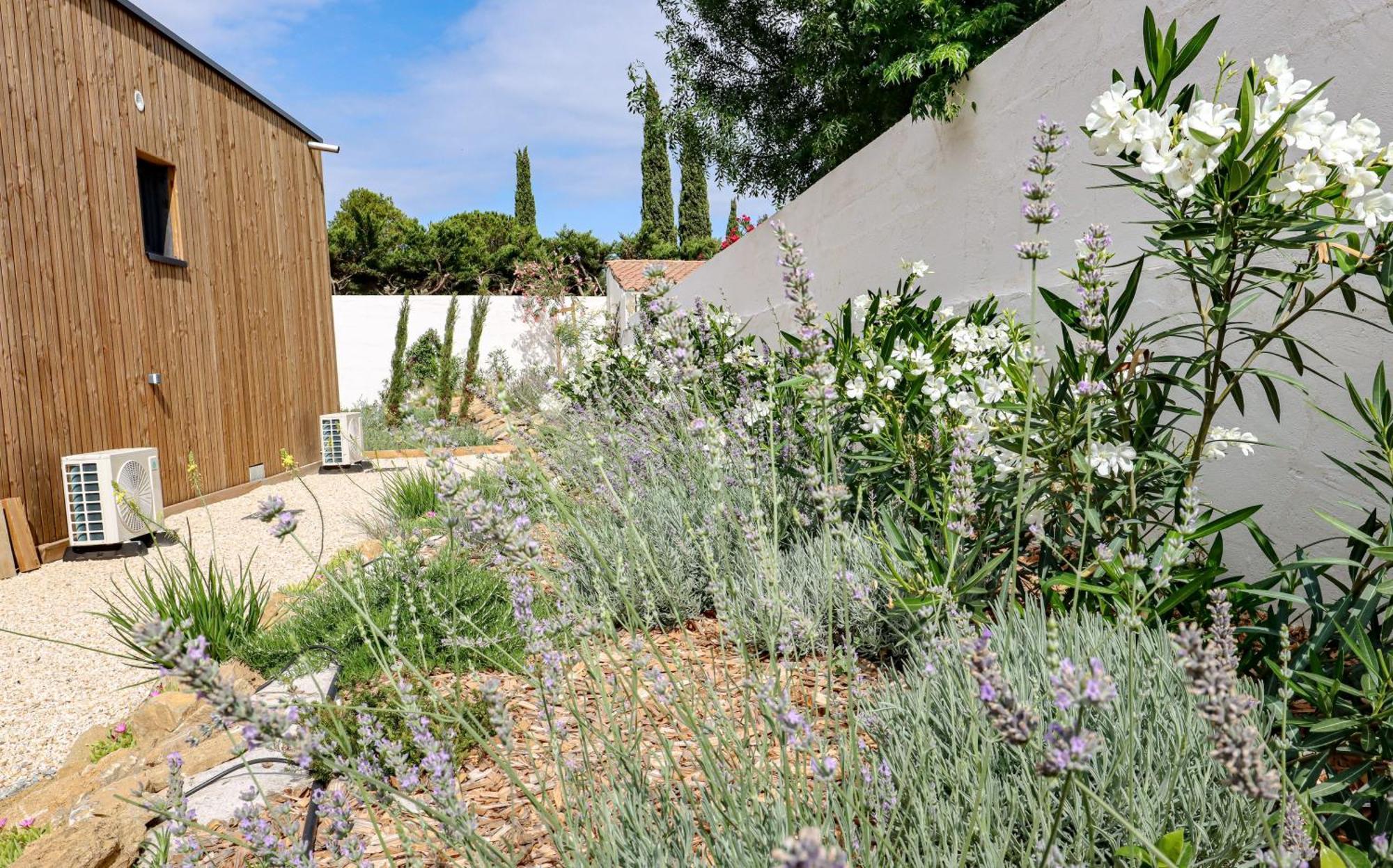 Les Gites De Laure - L'Eden Romantique, Chambres Hotes, Spa Prive, Couloir De Nage, Adults Only Malves-en-Minervois Eksteriør billede